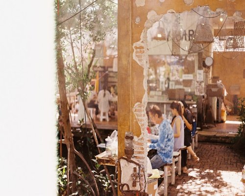 Person working casually on a laptop near a bright sunny window in a local cafe