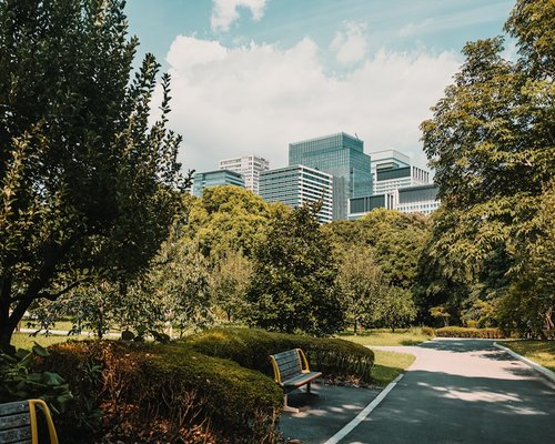 A peaceful view of a city park with green trees and clear sky